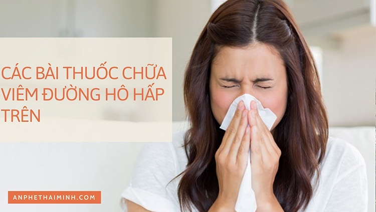 Tổng hợp các bài thuốc chữa viêm đường hô hấp trên hiệu quả khi giao mùa