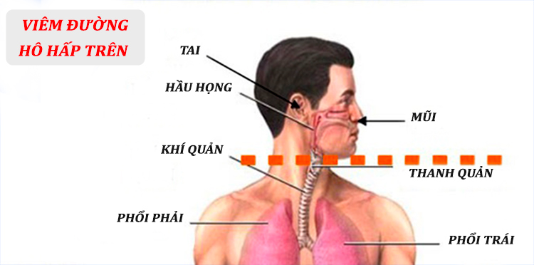 viem-duong-ho-hap-tren.jpg