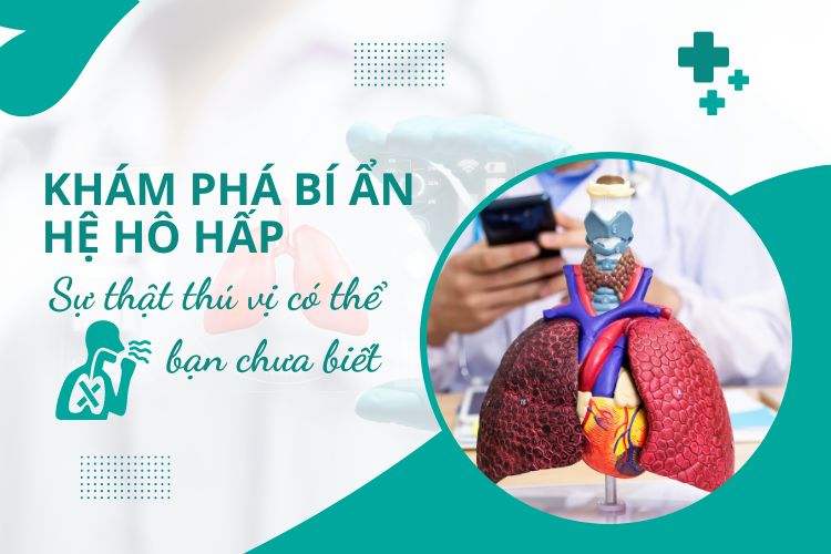 Khám phá bí ẩn hệ hô hấp: Sự thật thú vị có thể bạn chưa biết