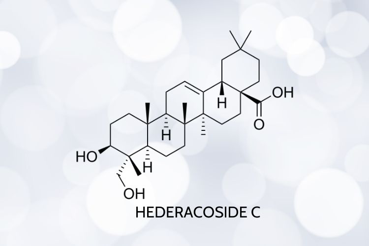 Hederacoside-C.jpg