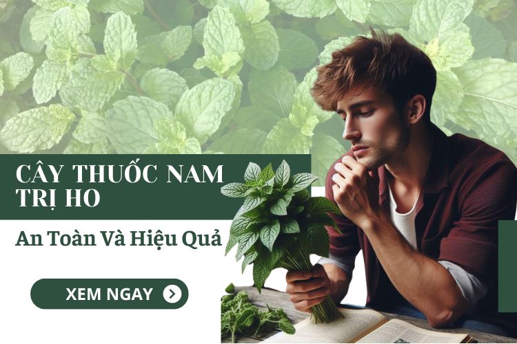 Cách Sử Dụng Cây Thuốc Nam Trị Ho An Toàn Và Hiệu Quả