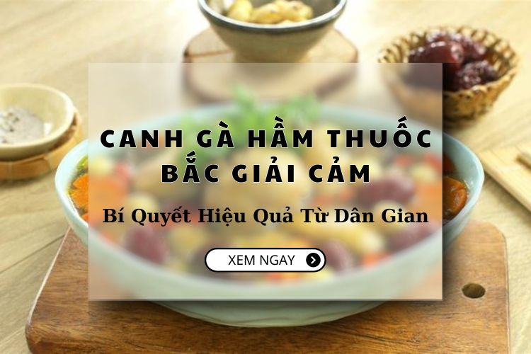 Canh Gà Hầm Thuốc Bắc Giải Cảm Bí Quyết Hiệu Quả Từ Dân Gian